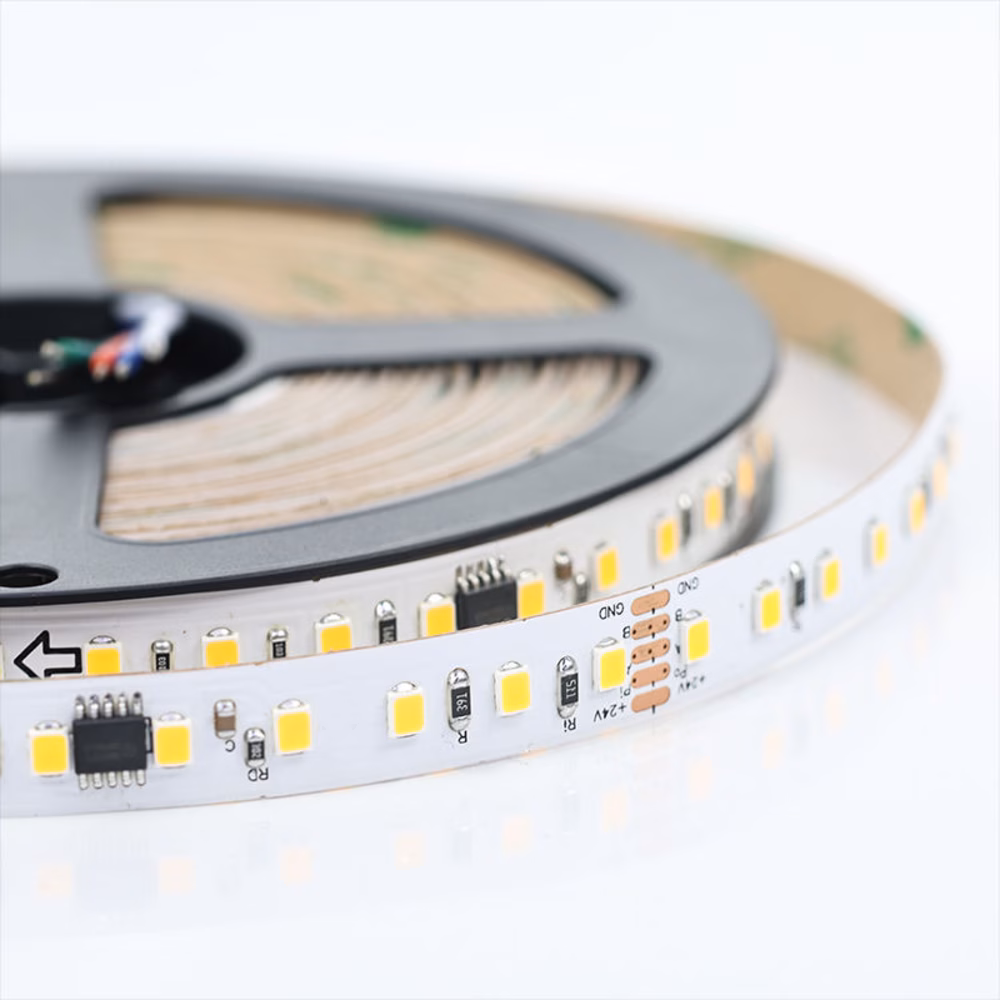 DMX512-24v-2835-120LED-10MM SINGLE COLOR - Image 2